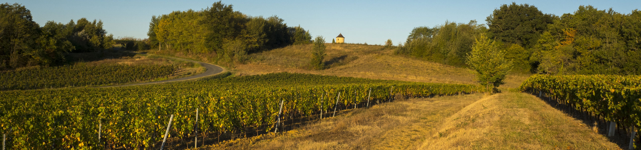 vignoble boudon agriculture biologique