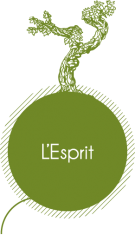 bouton_esprit2.png