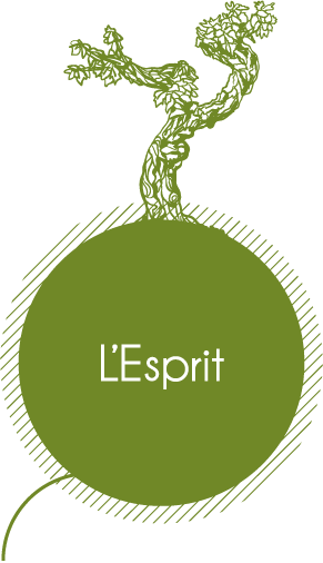 bouton_esprit2.png