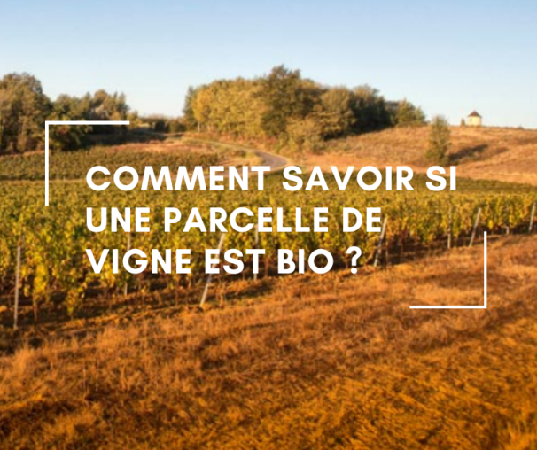 Comment savoir si une parcelle de vigne est bio.png