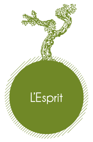 Esprit Boudon