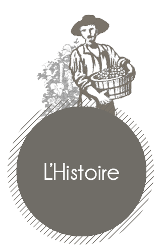 Histoire Boudon